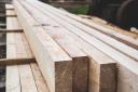 Choosing the right wood for your project 